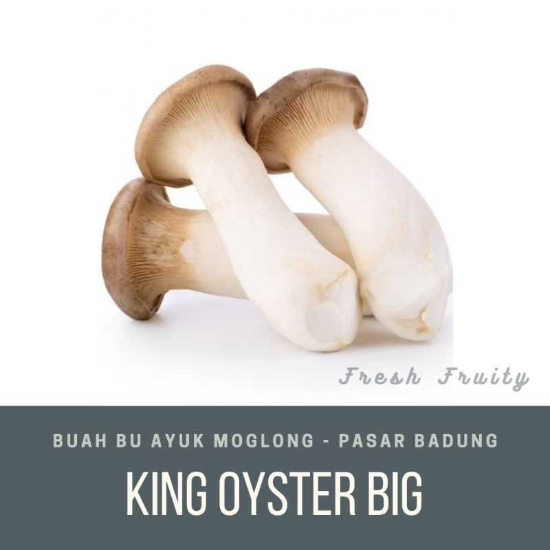 

king oyster big/pack