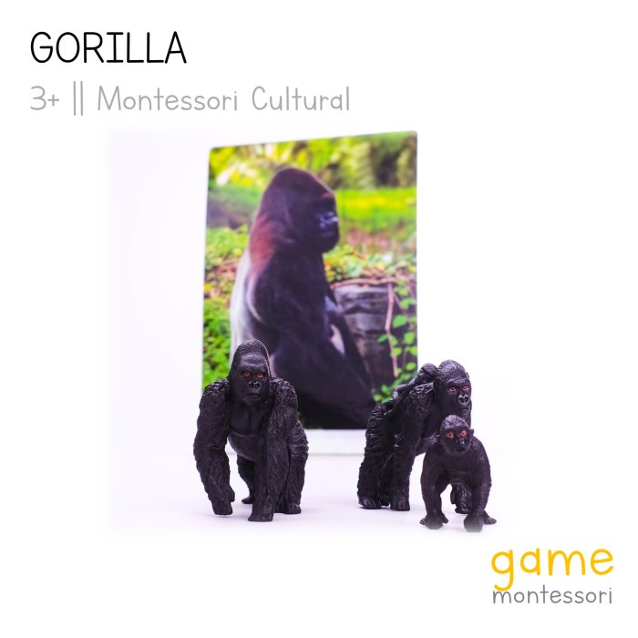 DISKON SPESIAL MONTESSORI CULTURAL WILD ANIMAL GORILLA TERBARU