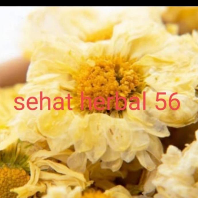 

500gram teh bunga Krisan / crysanthemu tea permium