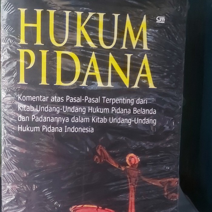 PROMO BUKU HUKUM PIDANA JAN REMMELINK TERBARU