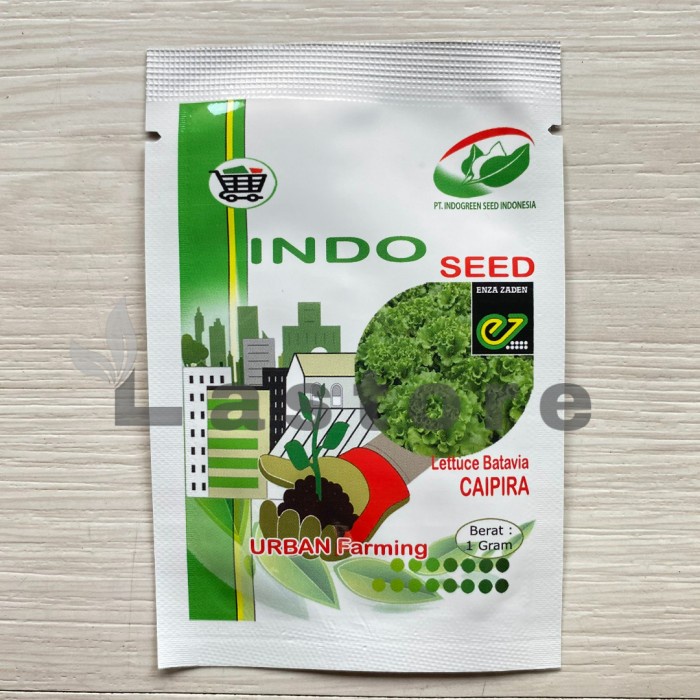 benih bibit selada caipira lettuce batavia 1 gram kemasan original