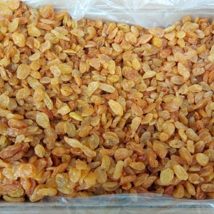 

populer] Kismis Golden Raisin Kismis ASAM MANIS 500gr 500 gr gram