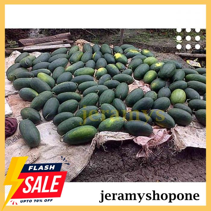 PROMO BENIH-BIBIT SEMANGKA INUL KUNING ESTEEM (BISI) !!!!