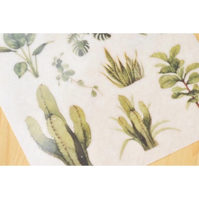 

MU CRAFT Print-On / Rub On Stier - Garden Life [037]