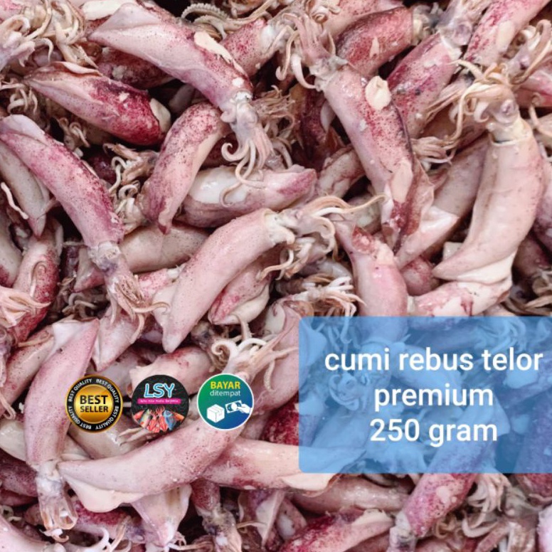 

RVRY1990 ikan asin cumi rebus telor premium 250gram