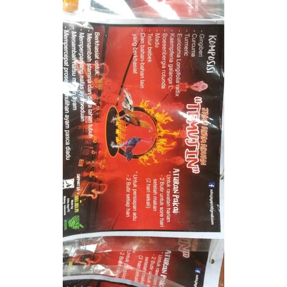 

TEMU JIN jamu jago 12