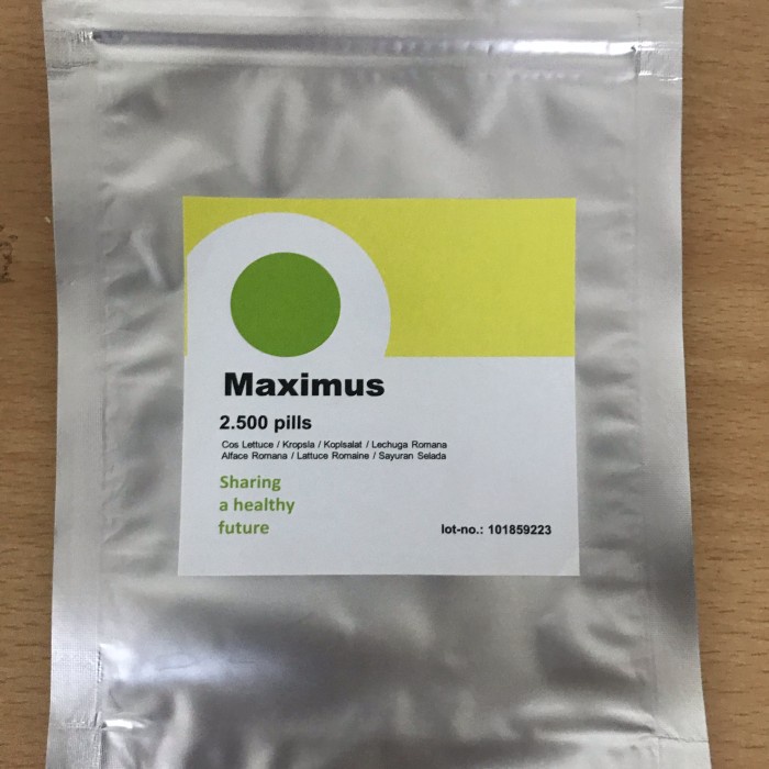 2500 seed - Benih Romaine RZ Maximus Rijk Zwaan