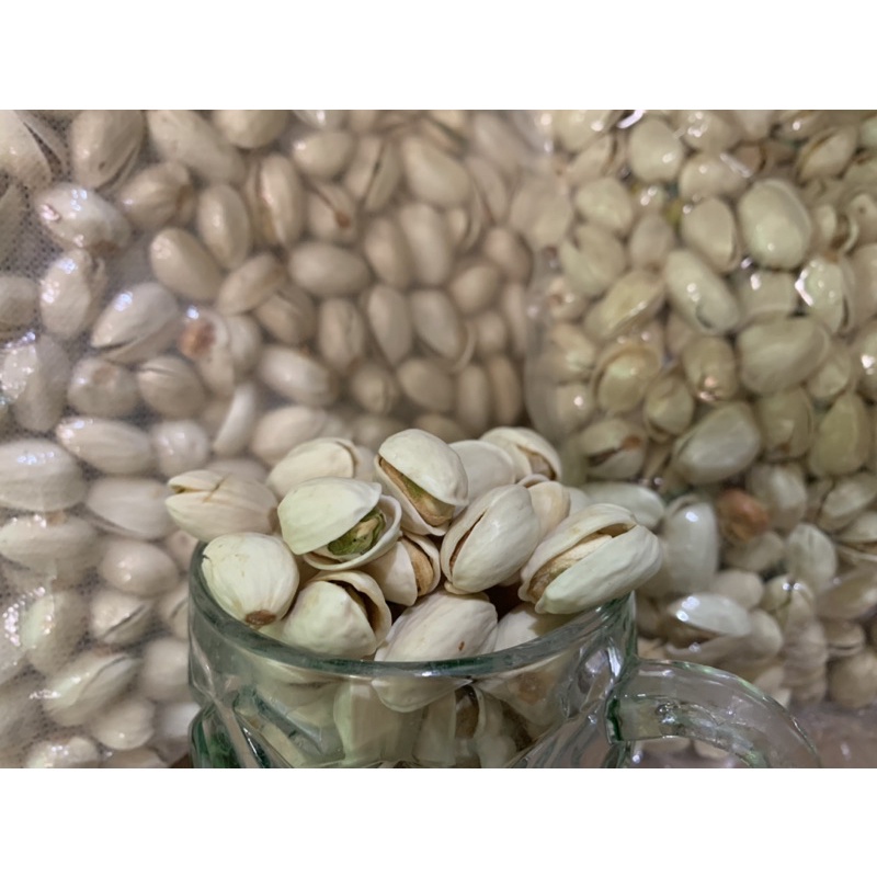 

Kacang Pistachio 1Kg Pistasio Ed 1 Kg Pista Roasted Panggang Matang Fustuk Ketawa Rasa Asin Arab