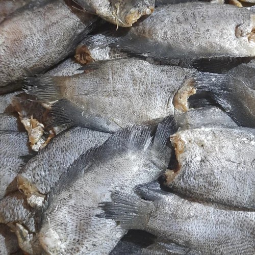 Ikan Asin Sepat Thailand Besar 500gr