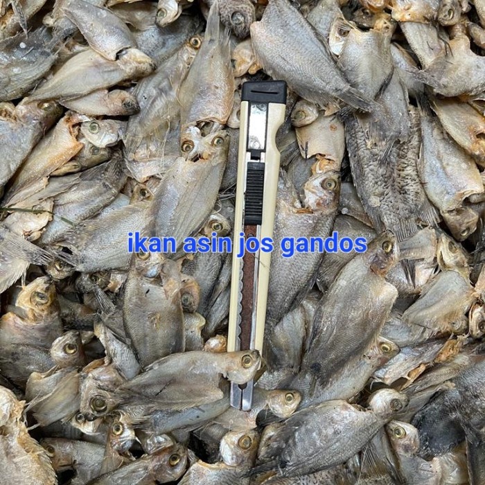 

ikan asin sepat rawa kalimantan 1 kg
