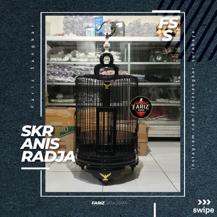 Sangkar Anis Ekslusif Radja