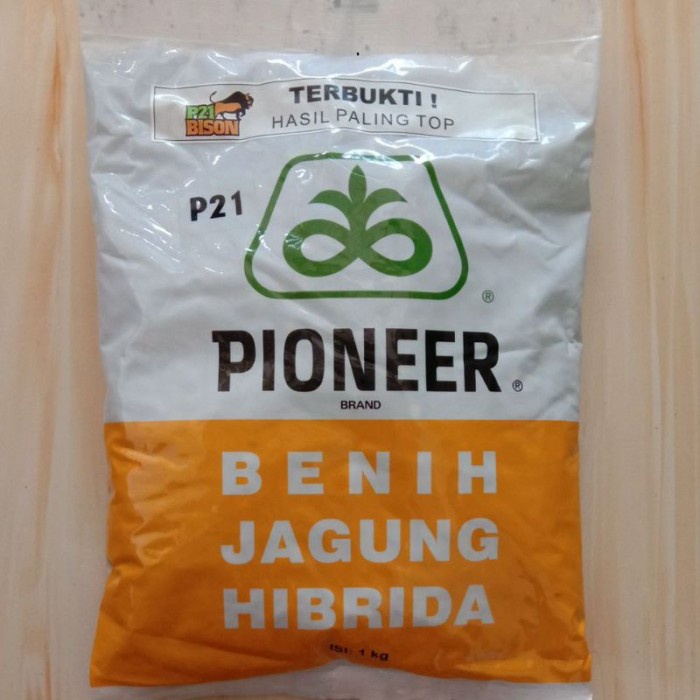 Benih Jagung Hibrida PIONEER P21 BISON