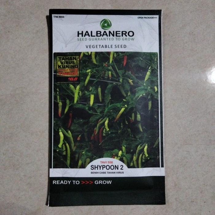 Bibit Cabe Rawit SHYPOON 2 - Benih Cabai Shypon shipon sypon sipon crm