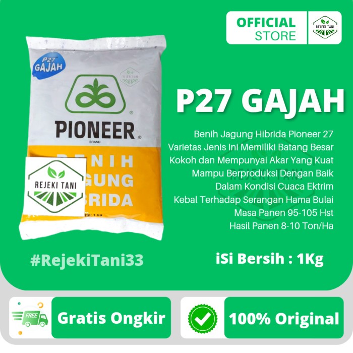 Bibit Benih Biji Jagung Hibrida Varietas PIONEER P27 GAJAH 1kg Pioner