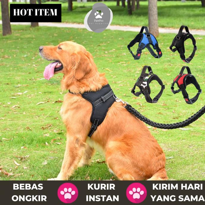 Harness Anjing|Dog Harness|Harness Anjing Besar|Harness Anjing Medium