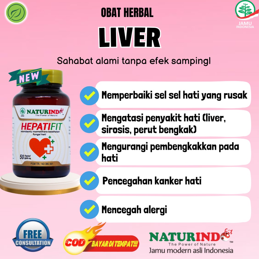 Obat Herbal Liver Hepatitis Perut Bengkak