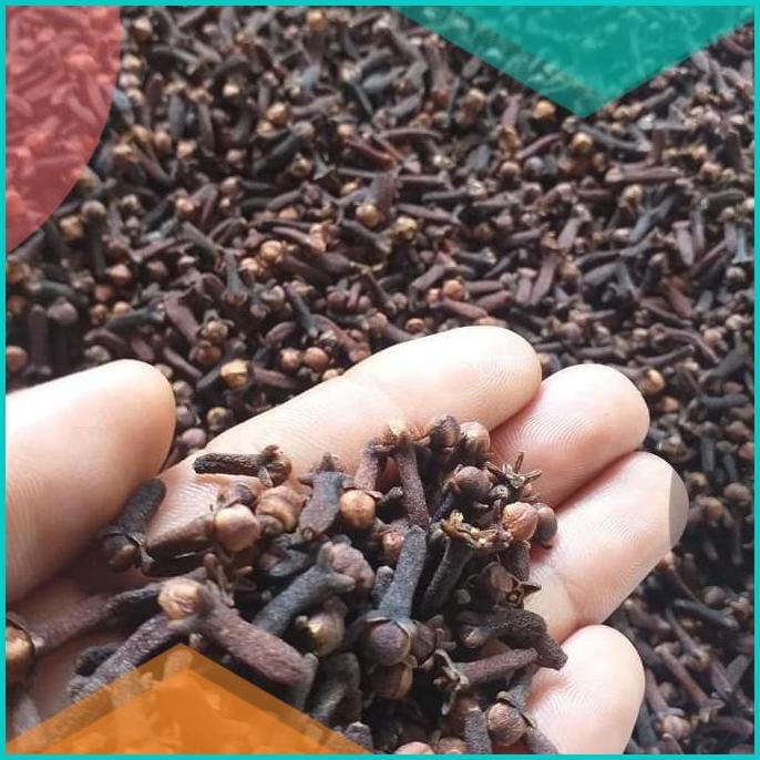 

REMPAH HERBAL CENGKEH 20 gr Kering Premium Clove 20JVLZ3 perkakas