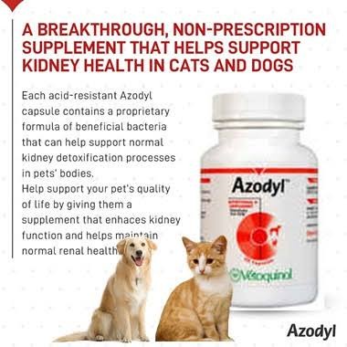 AZODYL 90 HEWAN GINJAL OBAT SAKIT ANJING & KUCING ROTIBAC RENACOR