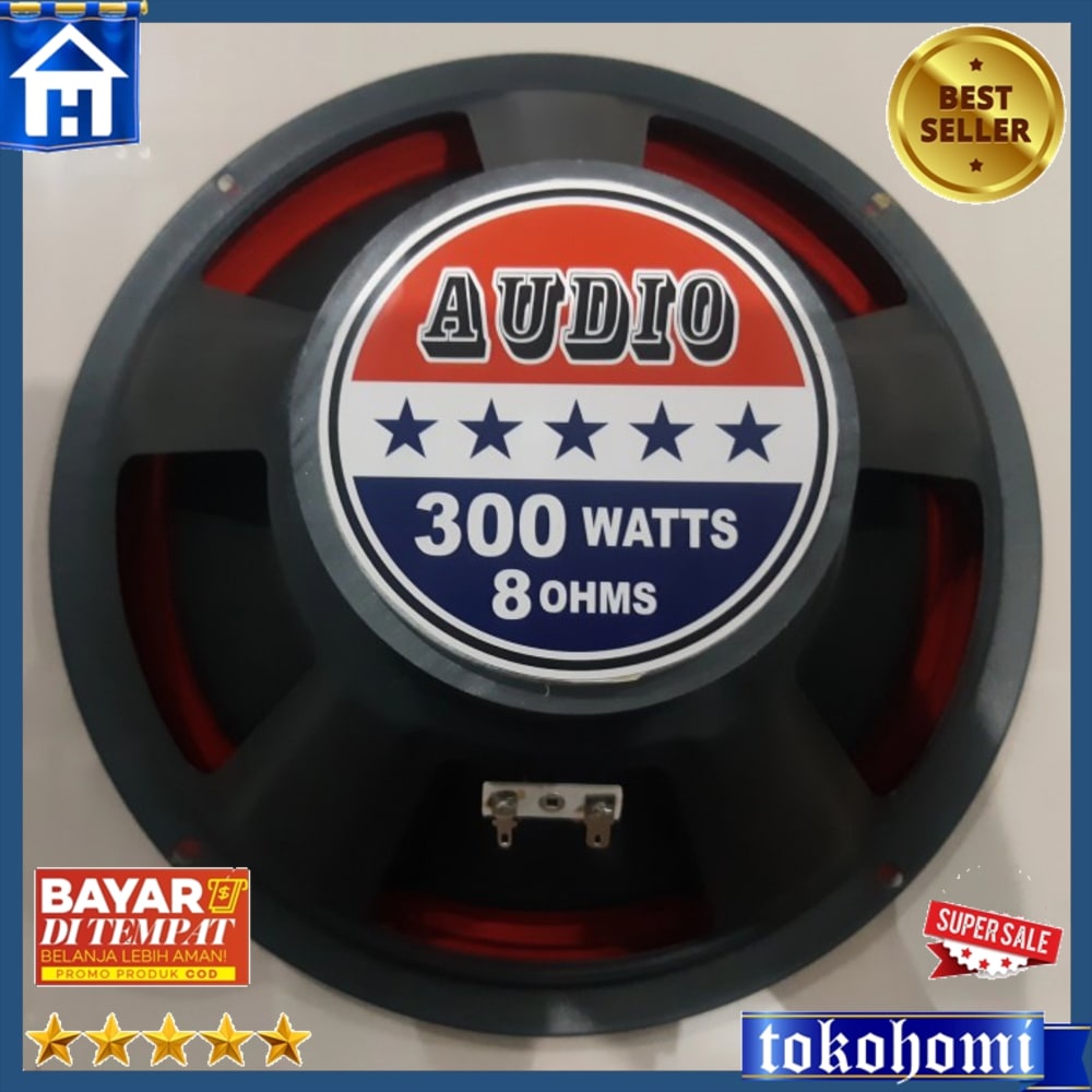 Speaker 10 Inch Audio 300 Watt Fullrange