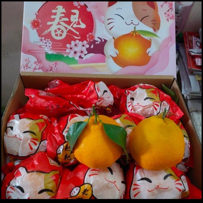 

TERBARU BUAH JERUK DEKOPON ISI 18-20 PIS/ JERUK IMPORT MANIS/JERUK ENAK/ KADO !!!!!