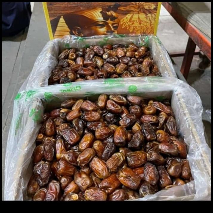 

HOT DEAL BUAH KURMA GOLDEN ORIENT 10 KG/ KURMA ENAK IMPORT/ KADO !