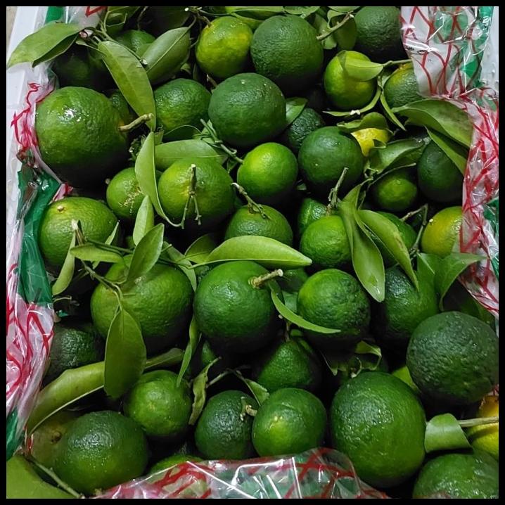 

DISKON BUAH JERUK SANTANG MADU HIJAU 7 KG/ BUAH IMPORT FRESH/KADO !!!!!!