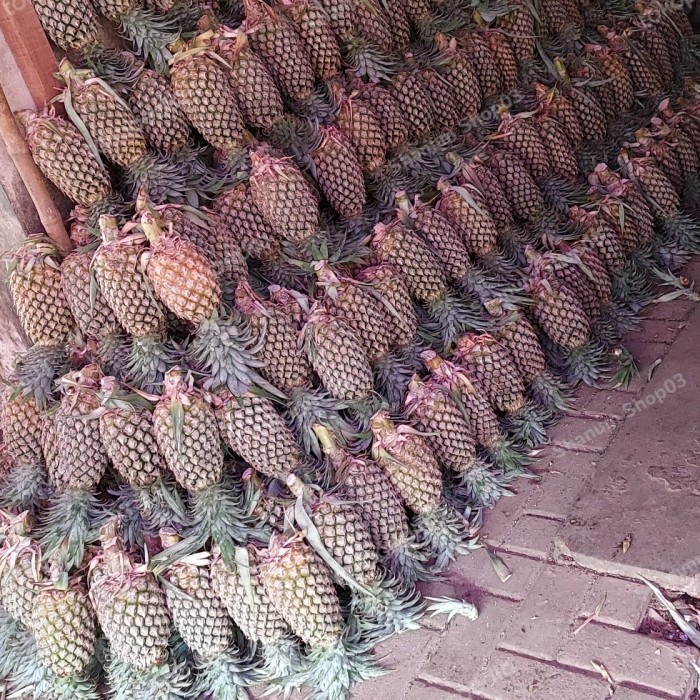 

Selai Nanas / Nastar Serat Kasar 500Gr Homemade