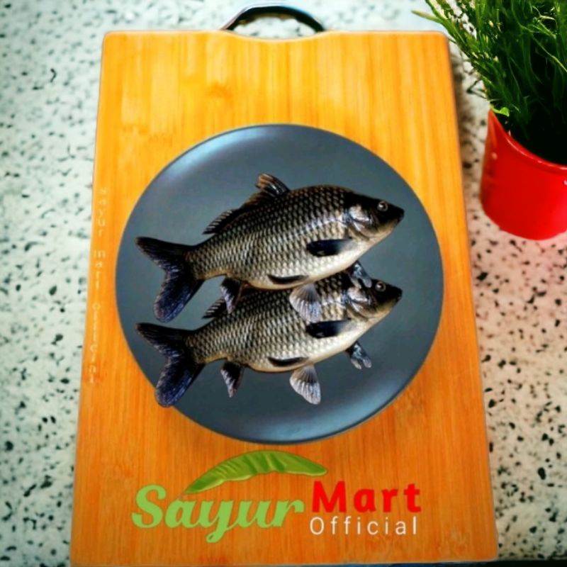 

Ikan Mas Segar 500gr