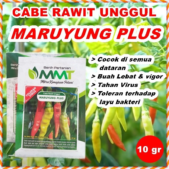 Benih Cabe Rawit Maruyung Plus 10 Gram Bibit Cabai Unggul Mmt