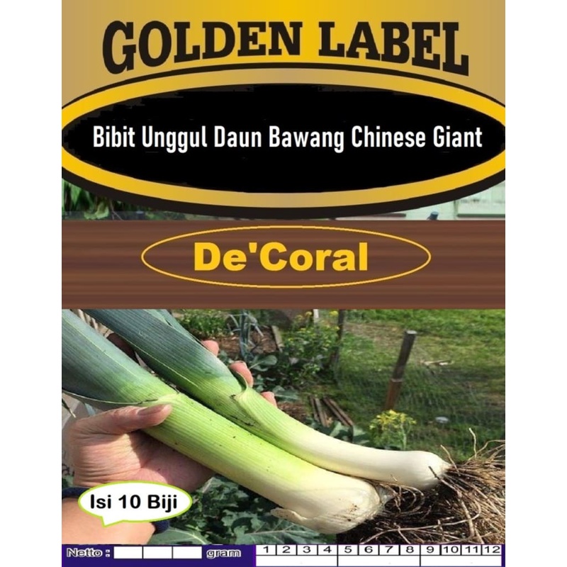 Bibit Daun Bawang Chinese Giant Batang Besar|Benih Bawang Daun Giant
