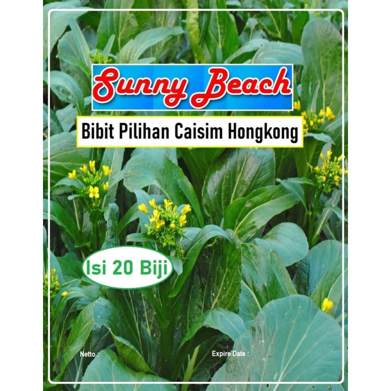 Bibit Pilihan Caisim Hongkong | Biji Bibit Caisim Bunga | Sawi Caisim