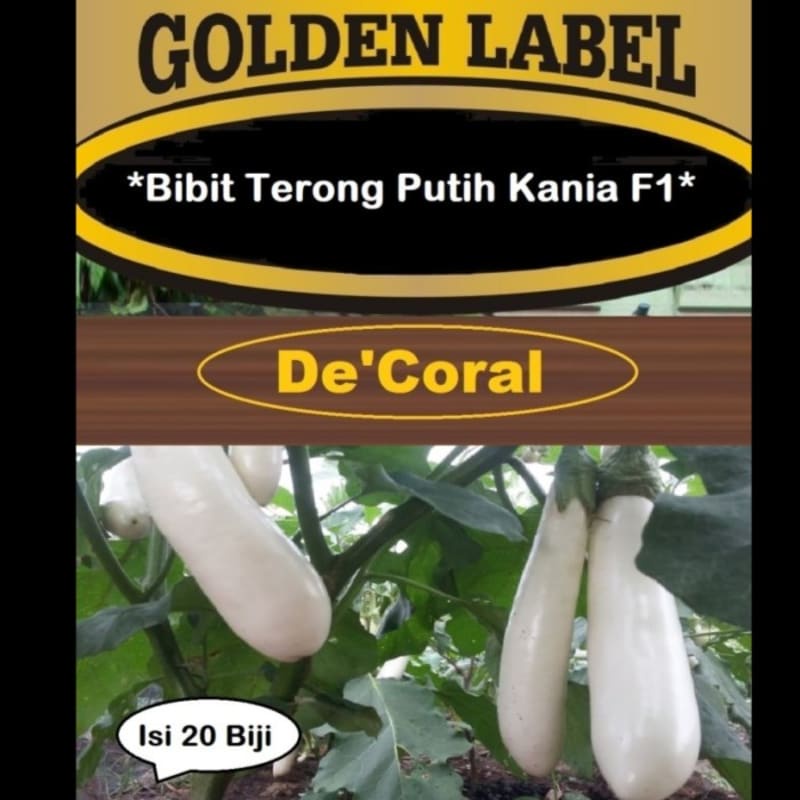 Bibit Terong Putih Kania F1 | Benih Terong Putih Kania F1