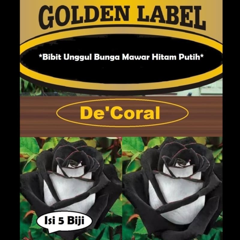Bibit Unggul Bunga Mawar Hitam Putih |Benih Bunga Mawar Hitam Putih