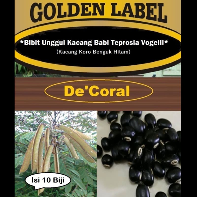 Bibit Unggul Kacang Babi Teprosia Vogelli | Kacang Koro Benguk Hitam