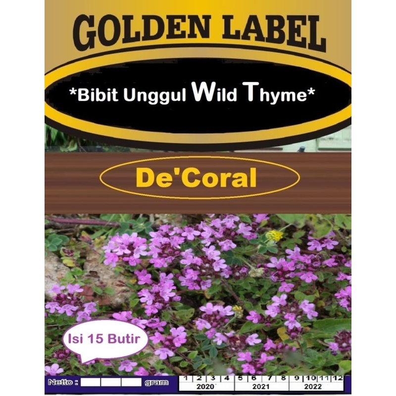 Bibit Unggul Wild Thyme | Benih Wild Thyme