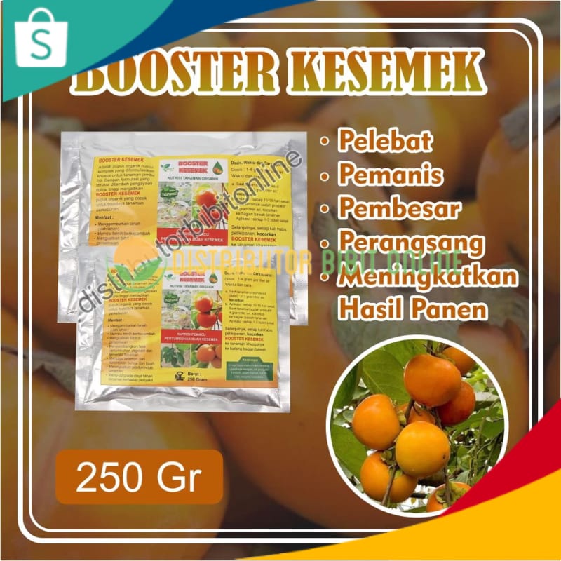 Booster Kesemek, Bisa COD Pupuk Booster Buah Kesemek, Pemicu Kesemek Cepat Berbuah