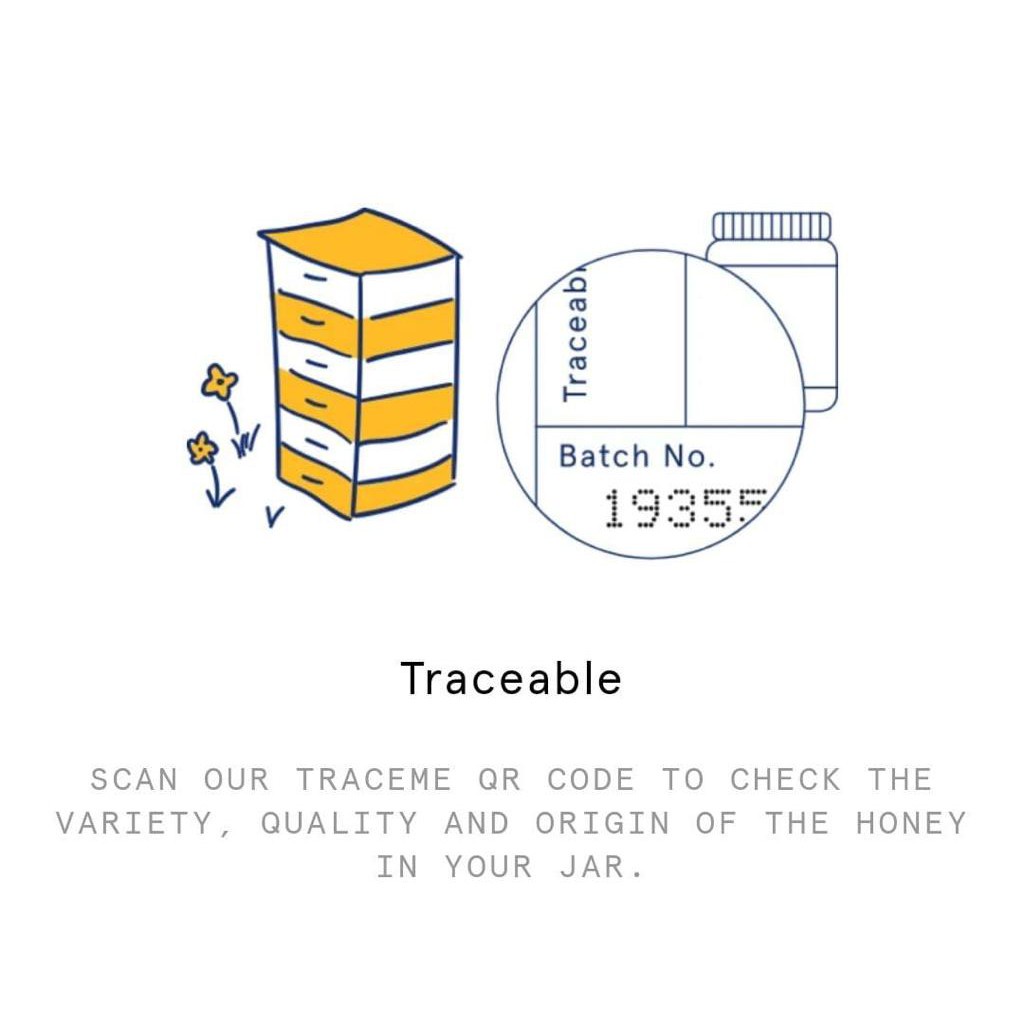

Airborne - Madu Clover 500 Gr - New Zealand Honey - Antibiotik Ala