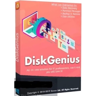 

DiskGenius Professional 2023