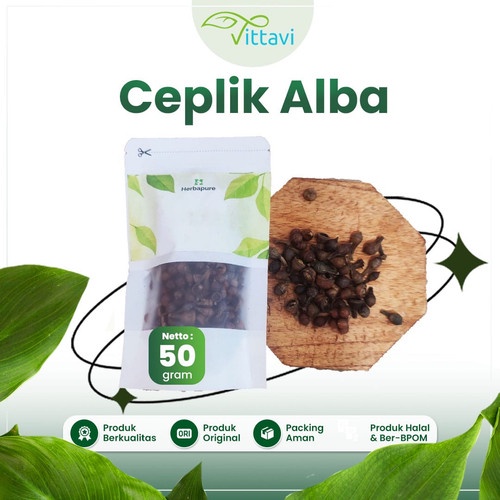 

☘️Vittavi☘️ 50 GRAM BUAH CEPLIKAN REMPAH CEPLIKSARI CEPLIK SARI ALBA CEPLIK BIJI EUCALYPTUS ALBA SIMPLISIA KERING DRIED