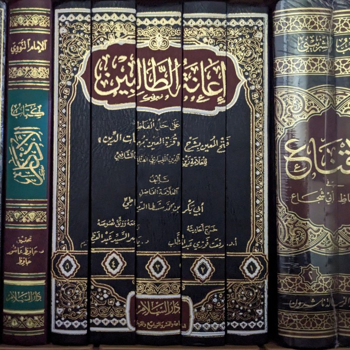 ✨Sale Hasyiah Ianatut Tholibin Edisi Revisi Darussalam حاشية إعانة الطالبين Bisa Gojek