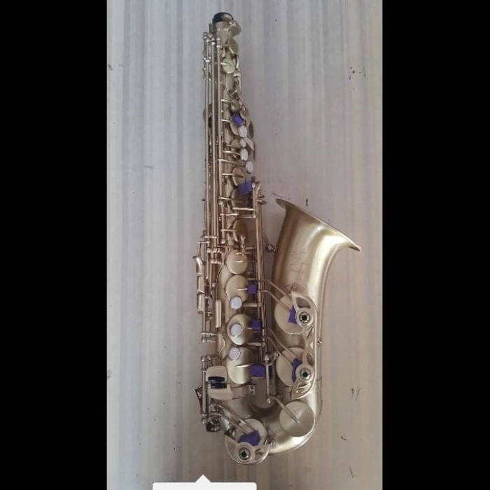 

✨Sale Saxophone Alto Zeff France Zas-615 Limited