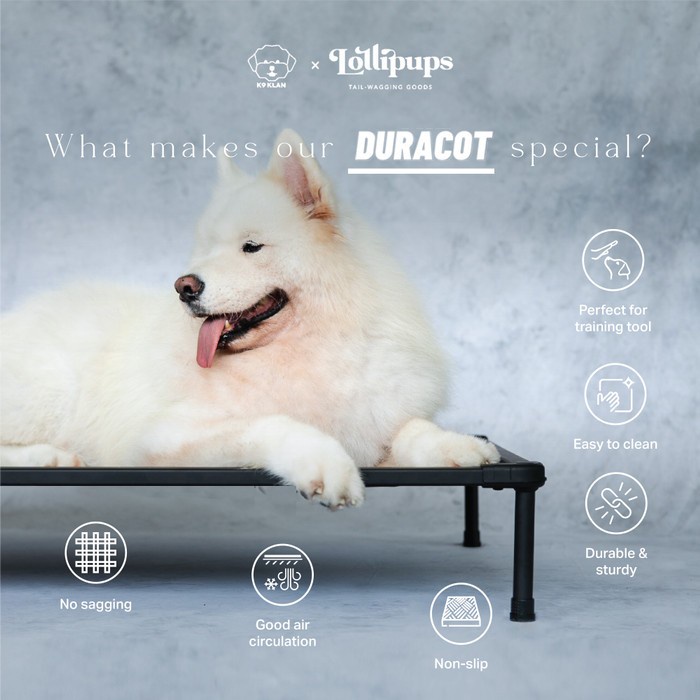 Promo The Duracot (Medium) -- Elevated Dog Bed (Pet Cot, Tempat Tidur Hewan)