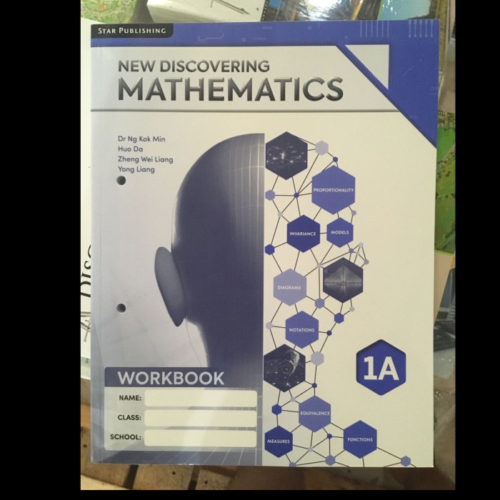 New Discovering Mathematics Workbook 1-3