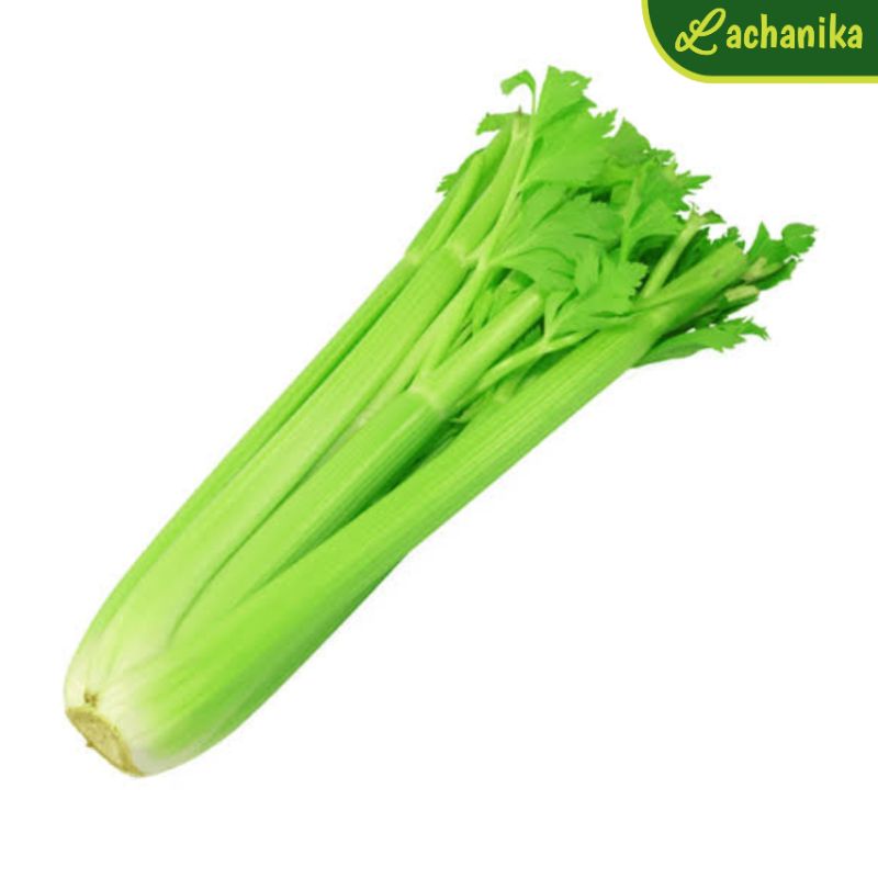 

Celery Stick / Batang Seledri Fresh