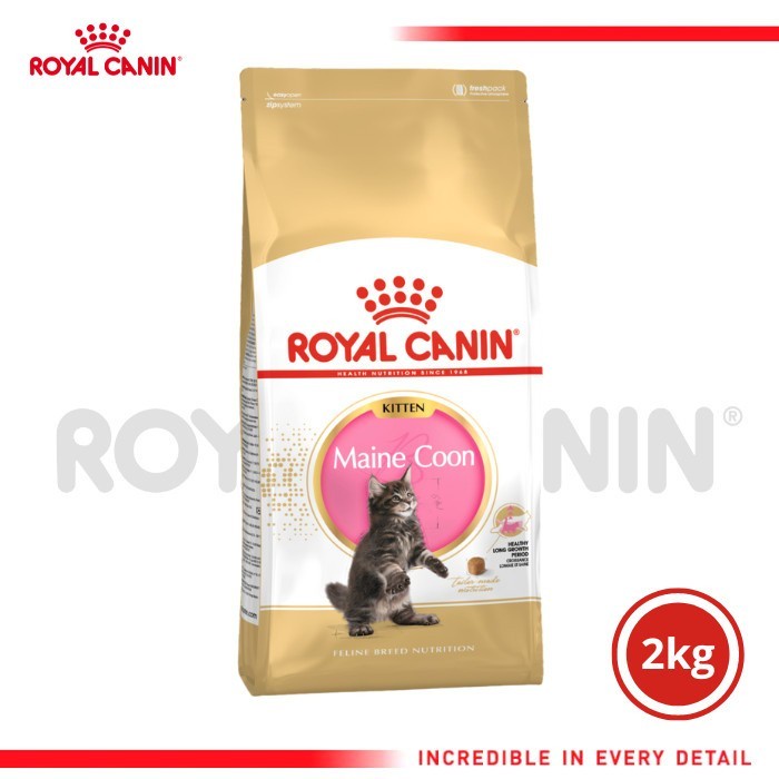 Royal Canin Maine Coon Kitten 2 kg