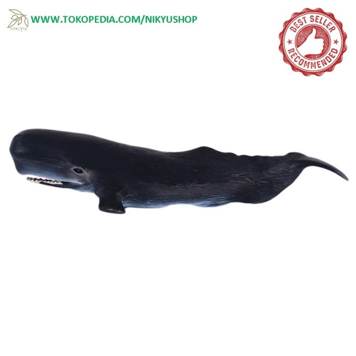 Mainan Edukasi Pajangan Koleksi Hewan Laut Sperm Whale Paus Sperma Ready