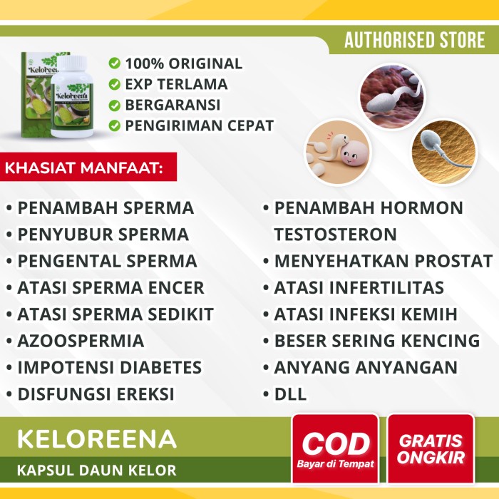 Terlaris Obat Impotensi Diabetes, Obat Impotensi Disfungsi Ereksi, Keloreena SALE