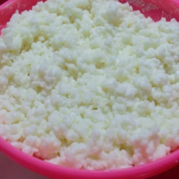 Bibit Grain Kefir Susu