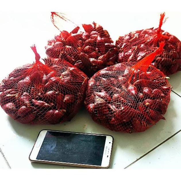 

Cod [Cod]Bawang Dayak 1Kg Tiwai Kalimantan Segar Asli Hutan Agen Jual Paling Murah Siap Konsumsi Murah