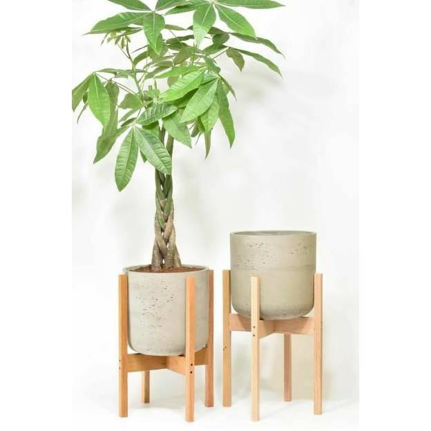 ] Plant stand termurah